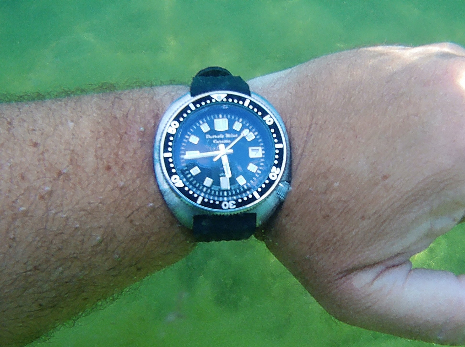Detroit Mint Caretta Red Hook Black Turtle Diver 6105
